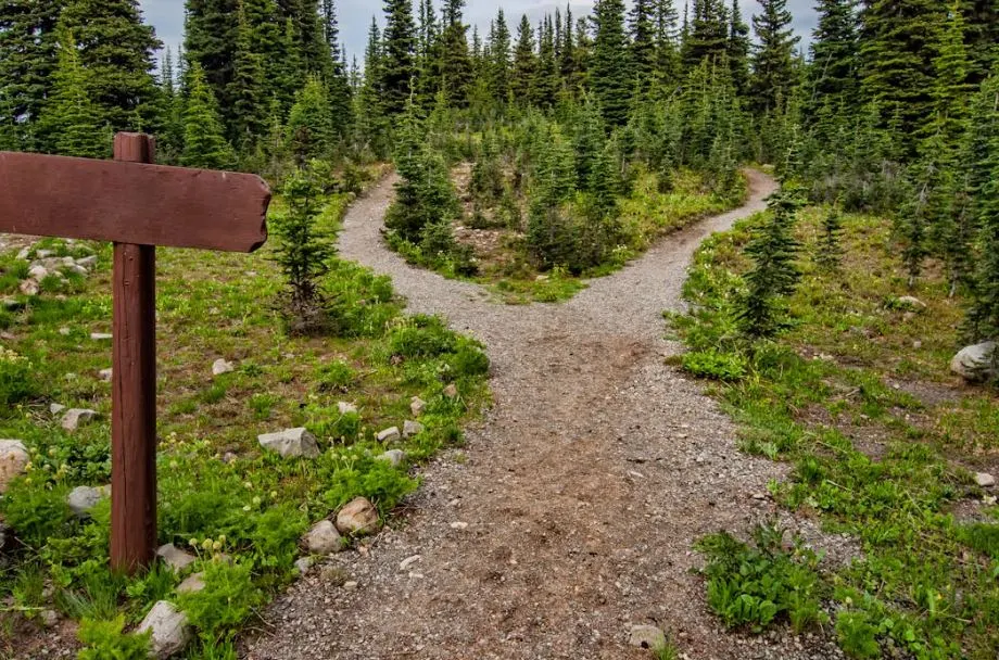 outdoor trail preparation